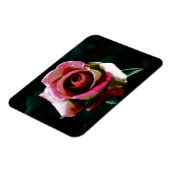 Ölgemalte rote Rose Magnet (Linke Seite)
