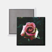 Ölgemalte rote Rose Magnet (Vorderseite/Rückseite)