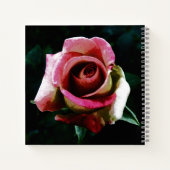 Ölgemalte rote Rose Notizblock (Rückseite)