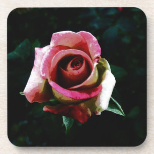 Ölgemalte rote Rose Untersetzer