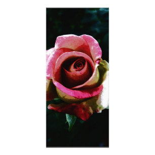 Ölgemalte rote Rose Werbekarte
