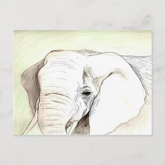Olifant Postkarte (Vorderseite)