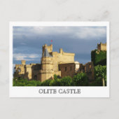 Olite Castle Postkarte (Vorderseite)