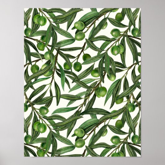 Olive-Äste auf weißer Seite Poster (Vorne)