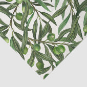 Olive-Äste auf weißer Seite Seidenpapier (Ausschnitt)