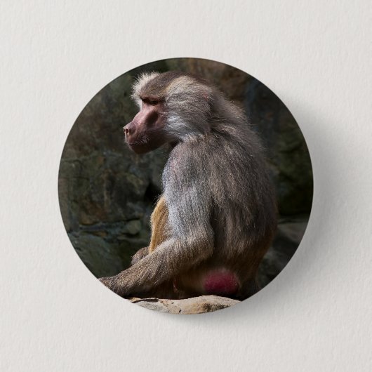 Olive Baboon Button (Vorderseite)