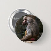 Olive Baboon Button (Vorne & Hinten)