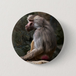 Olive Baboon Button