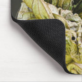 Olive Backed Euphonia, Wildlife Aviary Fotografy Mousepad (Ecke)