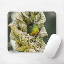 Olive Backed Euphonia, Wildlife Aviary Fotografy Mousepad