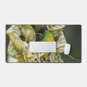 Olive Backed Euphonia, Wildlife Aviary Fotografy Schreibtischunterlage (Tastatur & Maus)