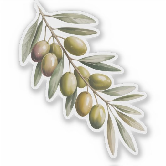 Olive branch aufkleber (Vorderseite)