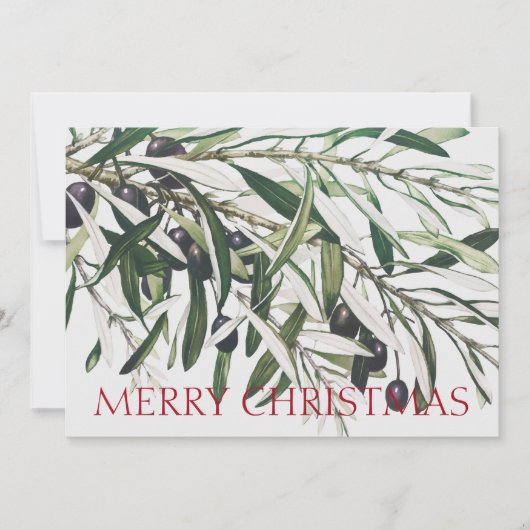OLIVE BRANCH MERRY CHRISTMAS GREETCARD KARTE (Vorderseite)
