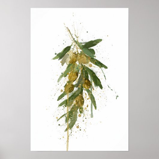 Olive Branch Poster (Vorne)