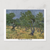 Olive By Vincent Van Gogh Postkarte (Vorderseite)