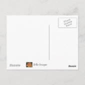 OLIVE DICH! - Oliven in Liebe - Postkarte (Rückseite)