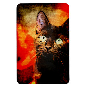 OLIVE, DIE OBEN SCHAUT MAGNET