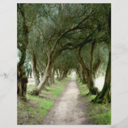 Olive Garden Flyer (Vorne)