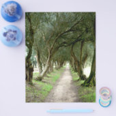 Olive Garden Flyer (Einzeln)