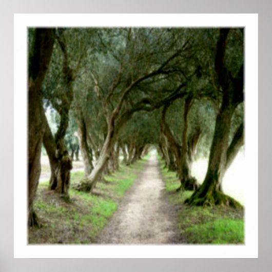 Olive Garden Print Poster (Vorne)