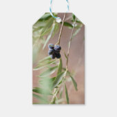 Olive Gift Tags Geschenkanhänger (Vorderseite)
