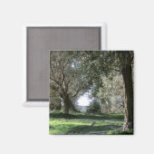 Olive Grove Magnet (Vorderseite/Rückseite)