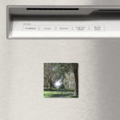 Olive Grove Magnet (In Situ (Geschirrspüler))