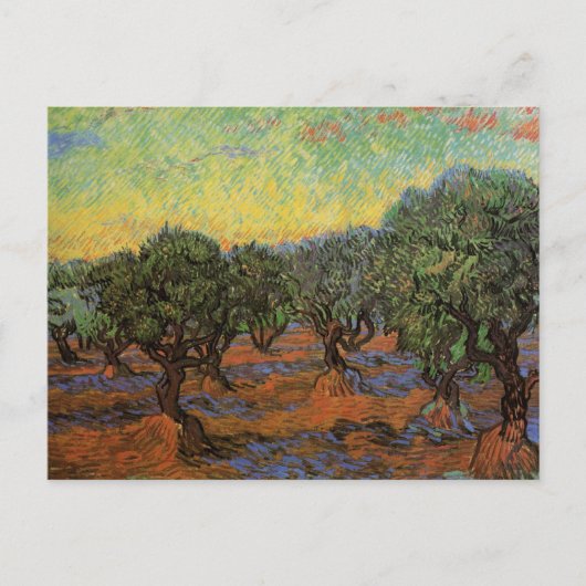Olive Grove mit Orange Sky, Vincent van Gogh Postkarte (Vorderseite)