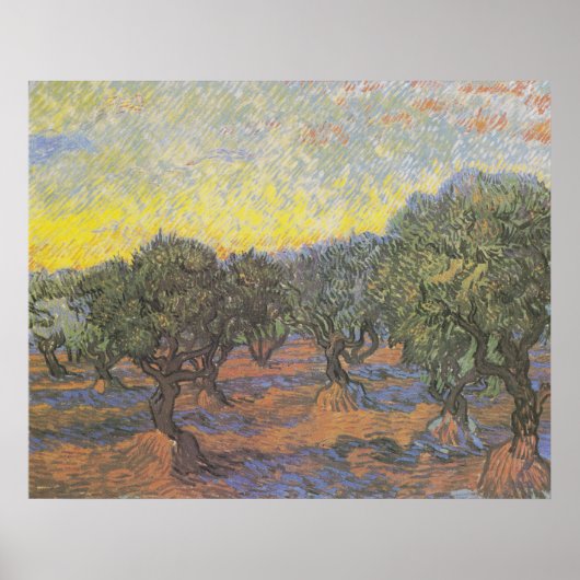 Olive Grove, Orange Sky von Vincent van Gogh Poster (Vorne)
