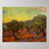 Olive Grove, Orange Sky von Vincent van Gogh Poster (Vorne)