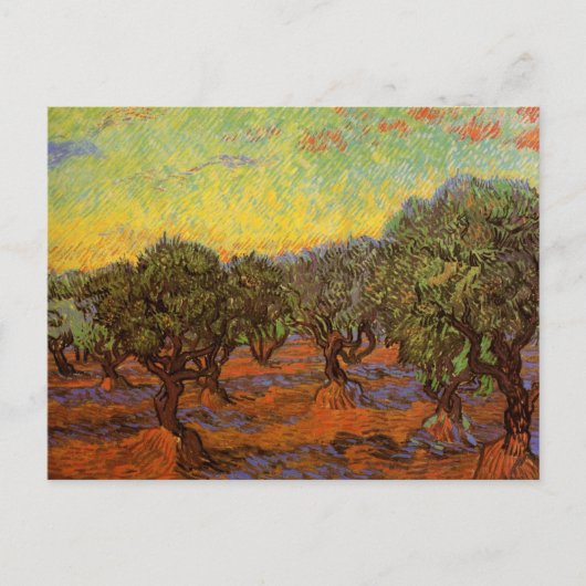 Olive Grove, Orange Sky von Vincent van Gogh Postkarte (Vorderseite)