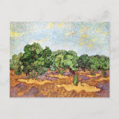 Olive Grove Pale Blue Sky Vincent van Gogh Postkarte (Vorderseite)