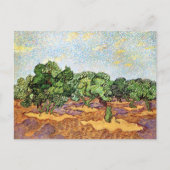 Olive Grove Pale Blue Sky Vincent van Gogh Postkarte (Vorderseite)