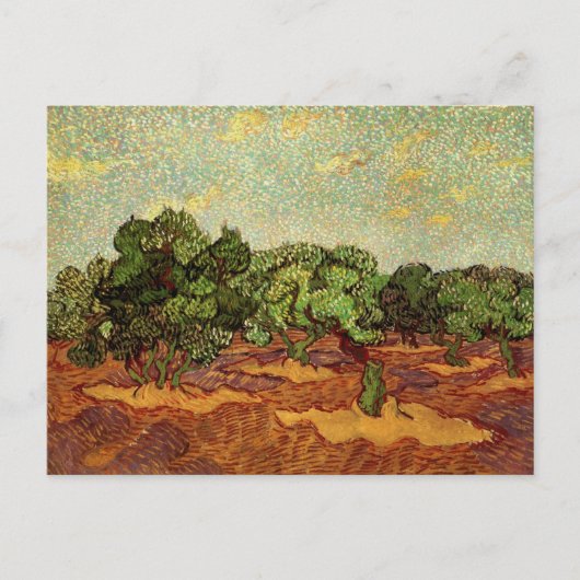 Olive Grove, Pale Blue Sky von Vincent van Gogh Postkarte (Vorderseite)