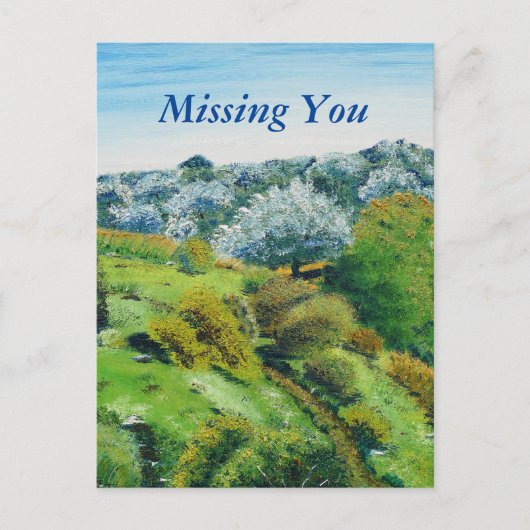 Olive Grove Postkarte (Vorderseite)