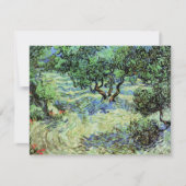 Olive Grove von Vincent van Gogh (Vorderseite)