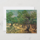 Olive Grove von Vincent van Gogh (Vorderseite)