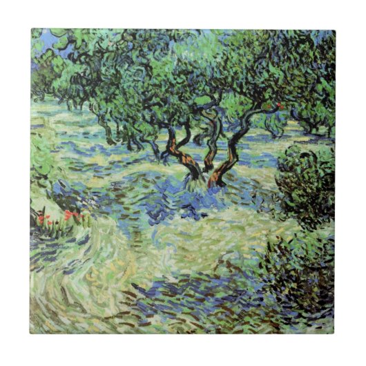 Olive Grove von Vincent van Gogh Fliese (Vorderseite)