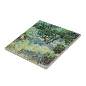 Olive Grove von Vincent van Gogh Fliese (Seite)