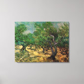 Olive Grove von Vincent van Gogh Leinwanddruck (Vorderseite)