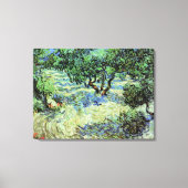 Olive Grove von Vincent van Gogh Leinwanddruck (Vorderseite)