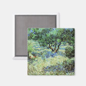 Olive Grove von Vincent van Gogh Magnet (Vorderseite/Rückseite)