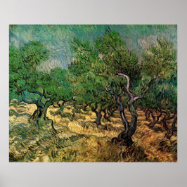 Olive Grove von Vincent van Gogh Poster