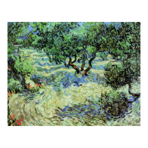 Olive Grove von Vincent van Gogh