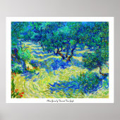 Olive Grove von Vincent Van Gogh Poster (Vorne)