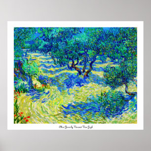 Olive Grove von Vincent Van Gogh Poster