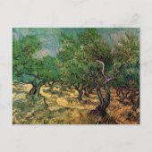 Olive Grove von Vincent van Gogh Postkarte (Vorderseite)