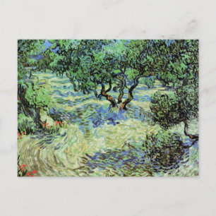 Olive Grove von Vincent van Gogh Postkarte