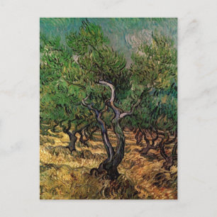 Olive Grove von Vincent van Gogh Postkarte
