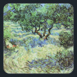 Olive Grove von Vincent van Gogh Quadratischer Aufkleber<br><div class="desc">Olive Grove von Vincent van Gogh ist ein Vintages Kunstmaler, der Post-Impressionismus in der Natur darstellt. Van Gogh malte über ein Dutzend Olivenbäume, während er im Süden Frankreichs lebte. Ein Obstgarten mit Obstbäumen auf einem Bauernhof in der Sommersaison. Über den Künstler: Vincent Willem van Gogh (1853-1890) war einer der berühmtesten...</div>